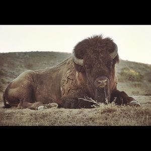 Meet your Posher, Christian